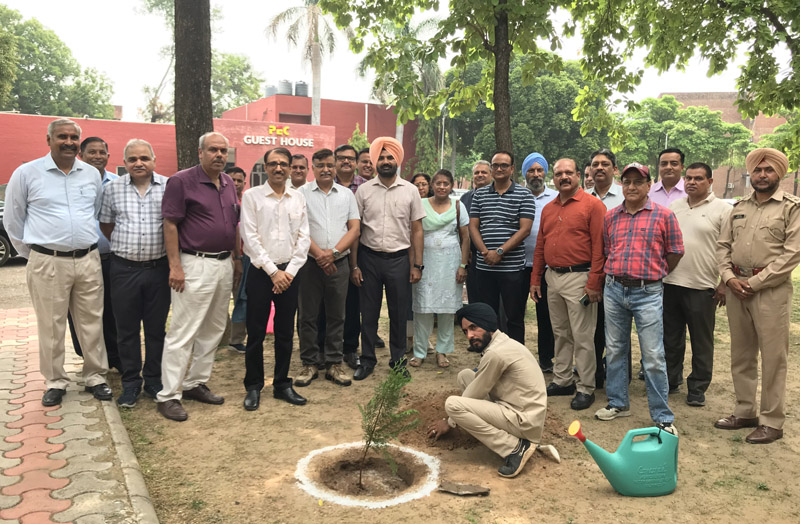 Van Mahotsav 2024 Celebrations under the ''Ek Ped Maa ke Naam'' Campaign held at PEC